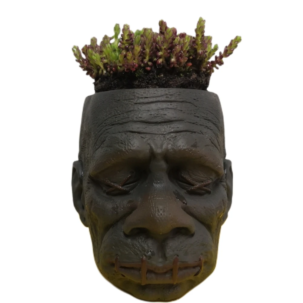 

Creepy Shrunken Head Planter Dead Head Flower Pot Horror Planter for Garden Decor Desktop Skull Pencil Pen Holder for Kids Gifts