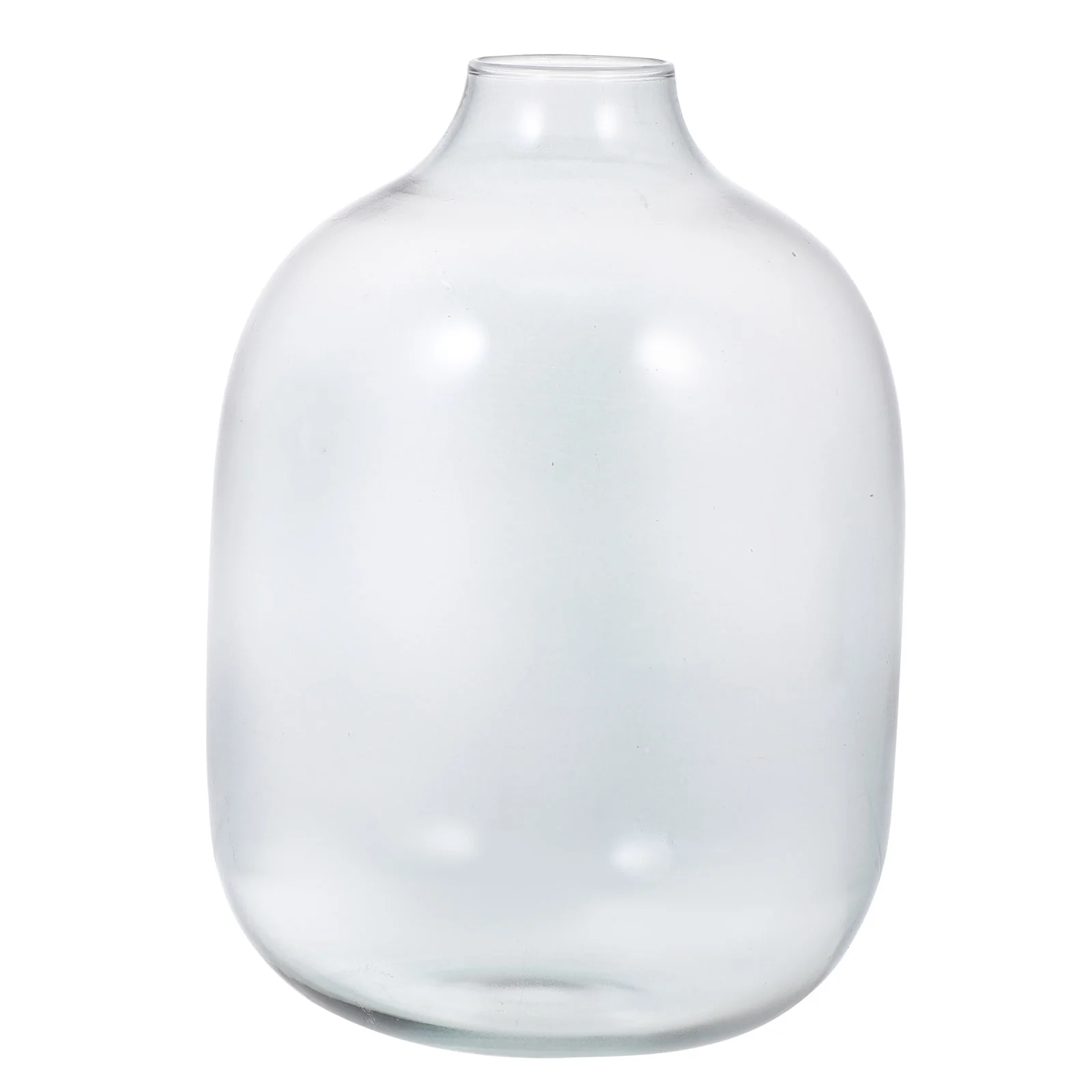 

Гидропонная ваза для цветов, организация цветов, ваза, держатель для цветов, стеклянная бутылка для цветов