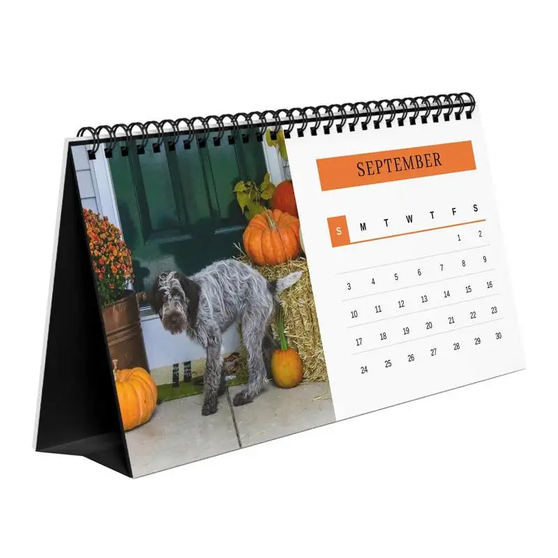 

Календарь для уборки собак, смешной Настольный календарь с юмором, многофункциональные Юмористические подарки, привлекательная прозрачная печать на глянцевой бумаге для