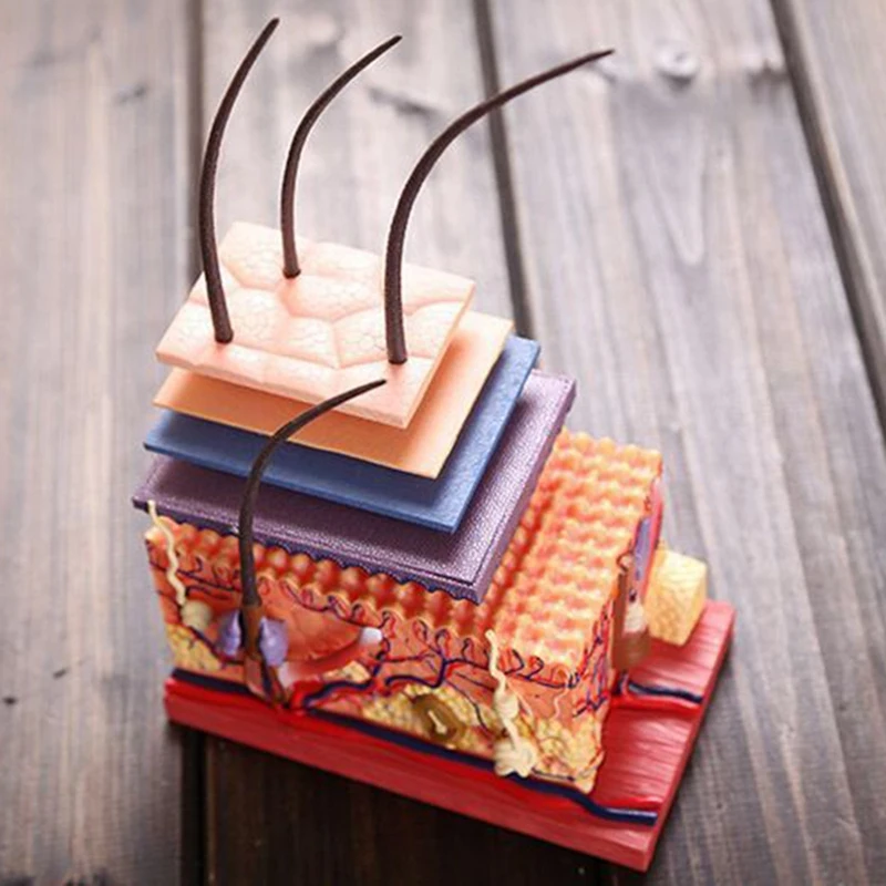 

Автомагнитола 2 Din, 7-дюймовая стереомагнитола MP5, Bluetooth, сенсорная USB-связь, зеркальная магнитола для GPS