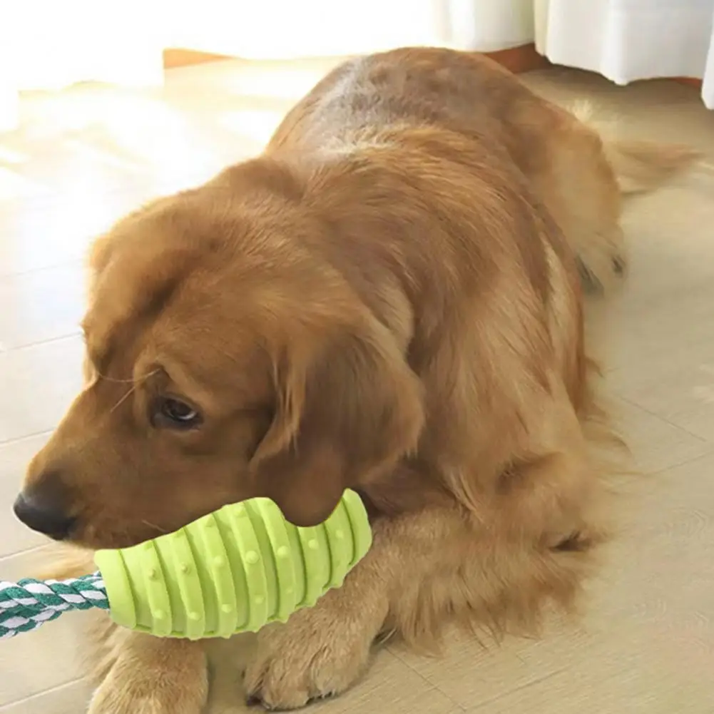 

Bite Resistant Dog Toy Set Cotton Rope Teeth Grinder Tpr Teeth Cleaner Boredom Relief For Dogs Durable Toy