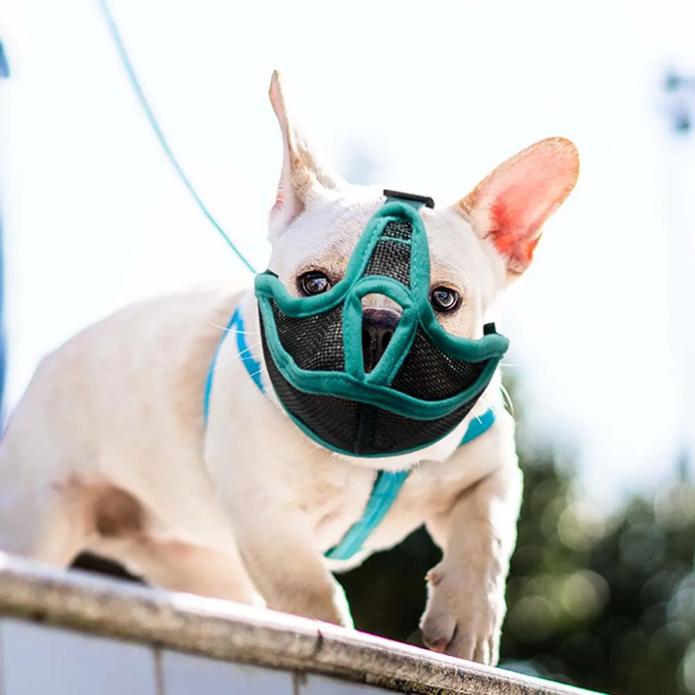 

ZOOBERS Pet Adjustable Mask Short Snout Dog Muzzle Breathable Mesh Flat Faced Muzzle for French Bulldog Shih Tzu and Pug Dog