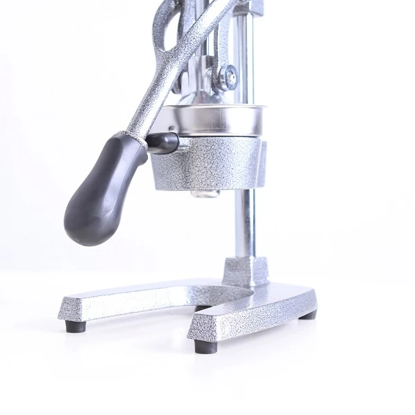 

FJ-007 orange pomegranate cold press juicer commercial