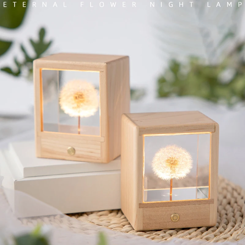 Artificial Plants Nightlight Luminous Resin Eternal Flowers Dandelion Colorful/Tricolor Dimming Lamp Nightlight Decor Ornaments