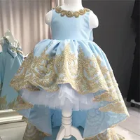Sky Blue Stain Flower Girls Dresses for Birthday Wedding Party Puffy Golden 3D Lace Crystal Kids Birthday Pageant Gown with Bow