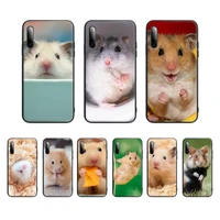hamsters cute animal phone case for huawei y9 y7 y5 y6 prime 2019 y9s mate 30 20 10 lite 40 pro nova 5t silicone funda