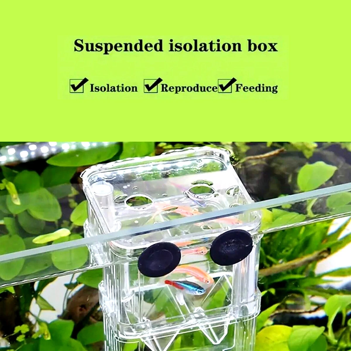 Многофункциональный Двухслойный Изолированный Ящик Для Разведения Рыб