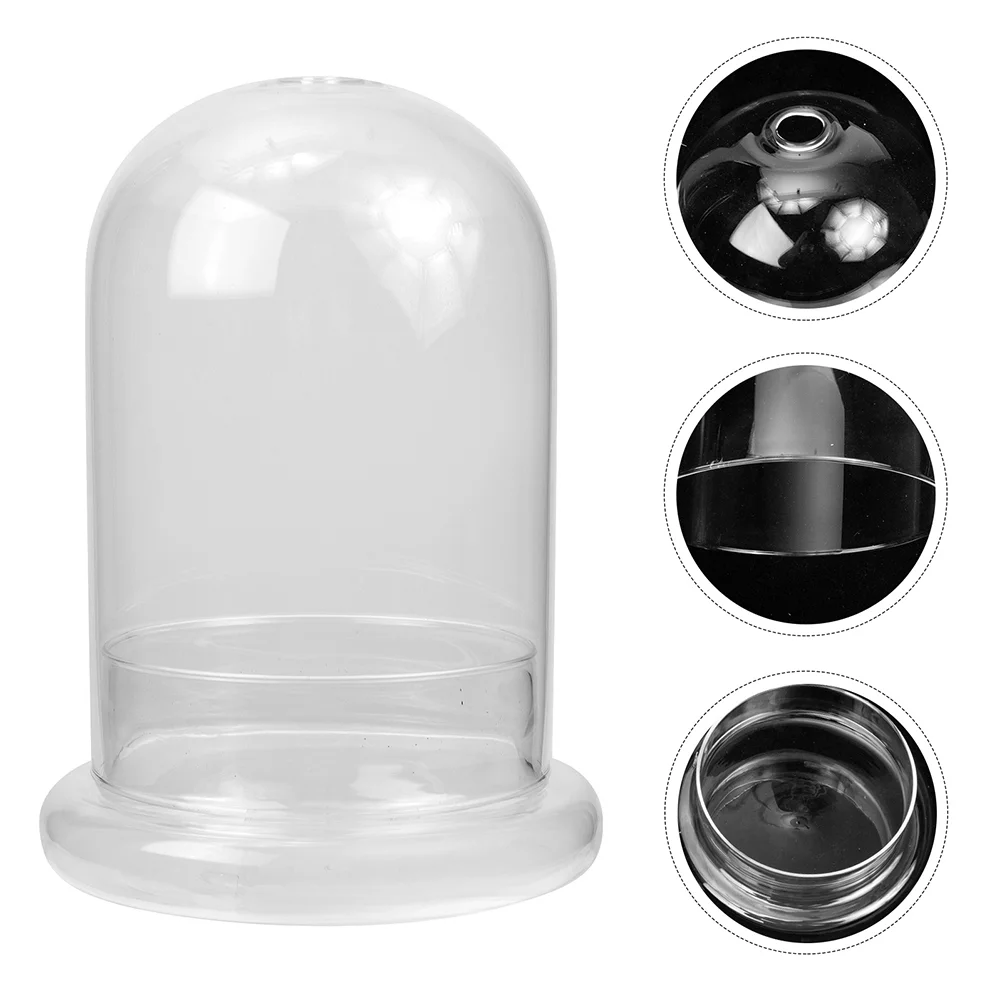 

Dome Cloche Terrarium Planter Display Preserved Propagation Succulent Tabletop Pot Watch Pocket Flower Base Domes Cake Jar Bell