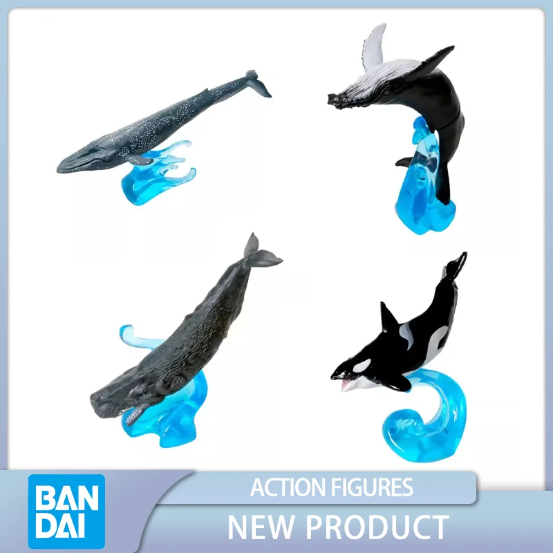 

BANDAI Gashapon Biography MINI Ocean Chapter Simulated Whale Simulated Killer Whale Figures Collect Model Toys