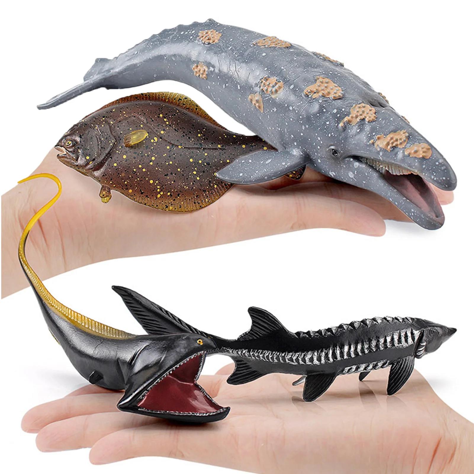 

4PCS Ocean Animal Toys Mini Ocean Marine Shark Model Sea Life Action Figures Ocean Aquarium Miniature Education Toys For Kid
