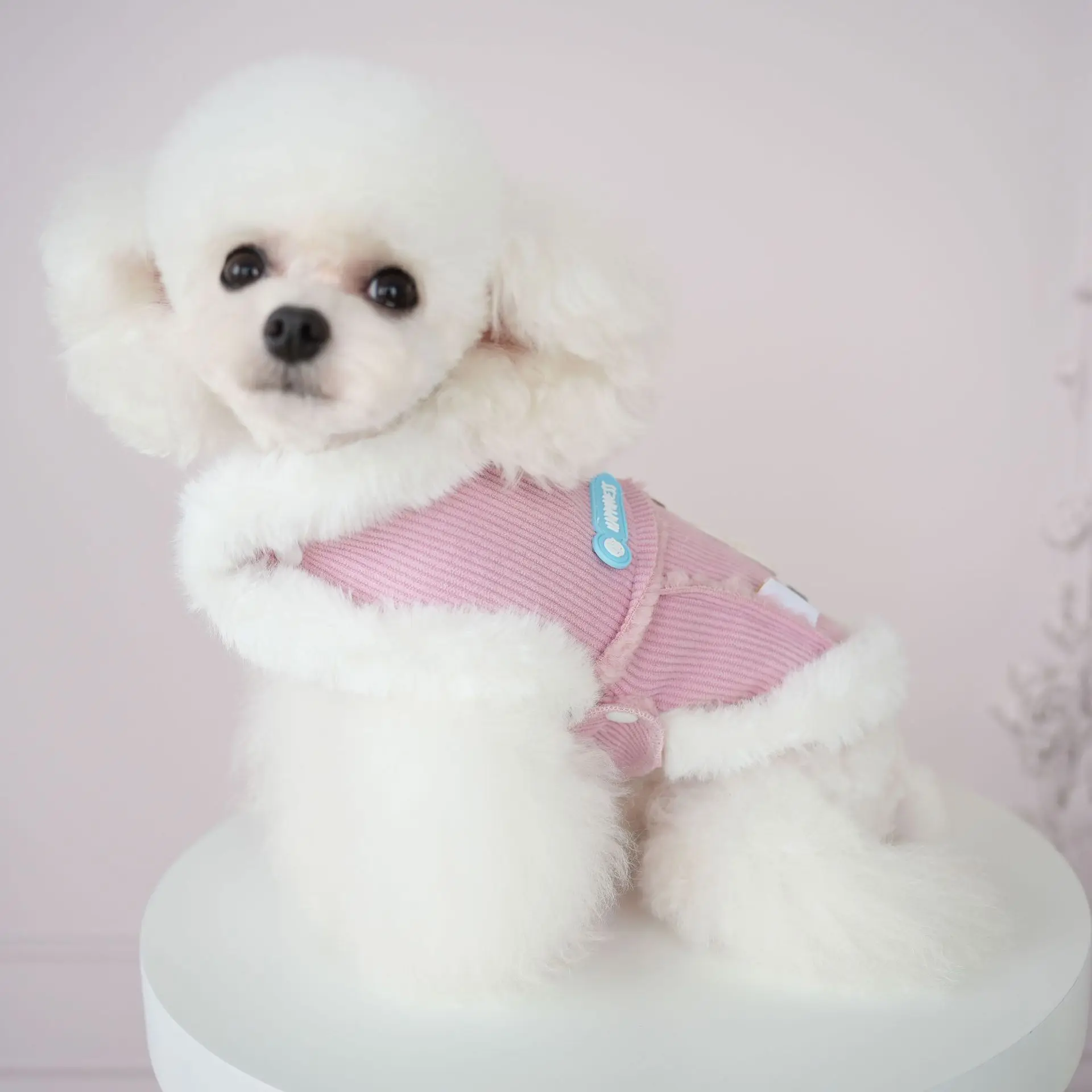 Пальто с милыми собаками и кошками вельветовый цельный плащ более плотное теплое