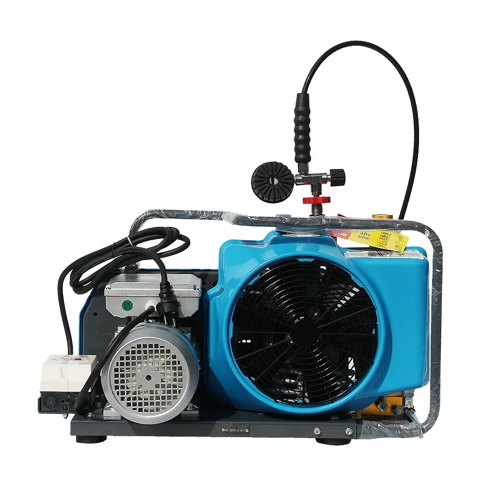 

DMC 15Kw 300bar High pressure air hose Scuba diving breathing tank portable air compressor for sale