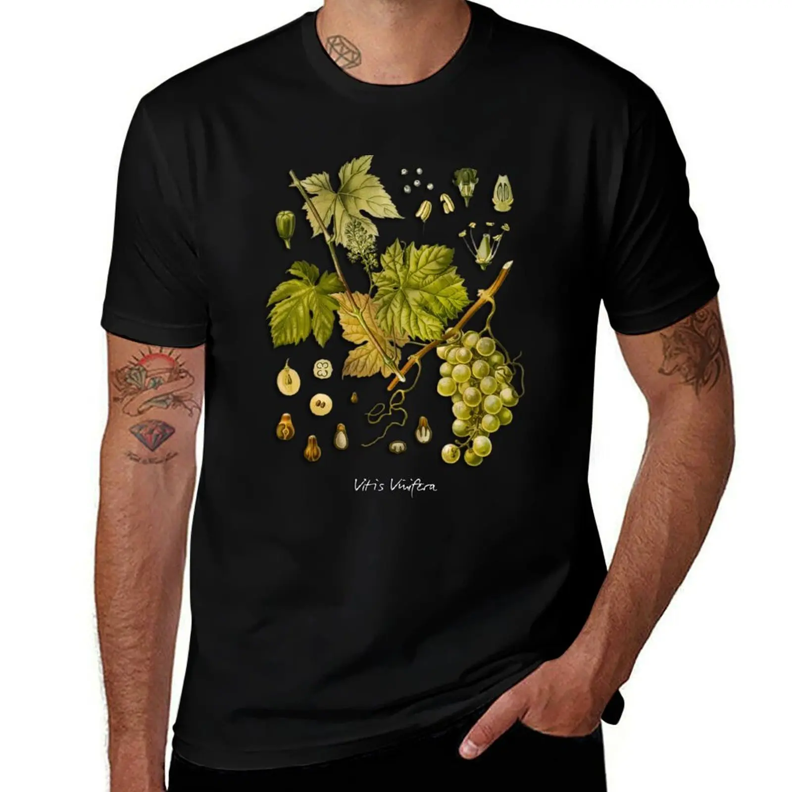 Фото Футболка Vitis vinifera, повседневная уличная одежда, футболка с короткими рукавами №1