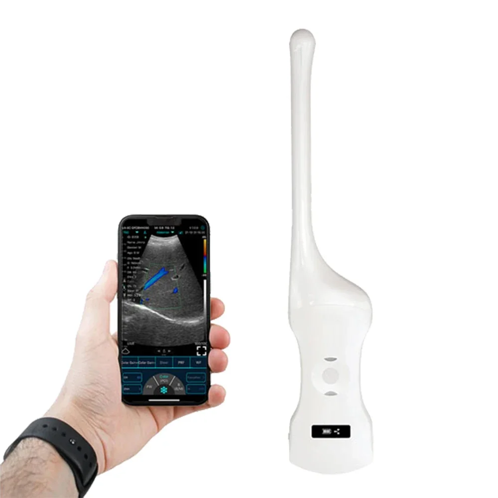 C10QT Dual-Probes Многоцелевой ультразвуковой выпуклый матки + эндозвание кадический