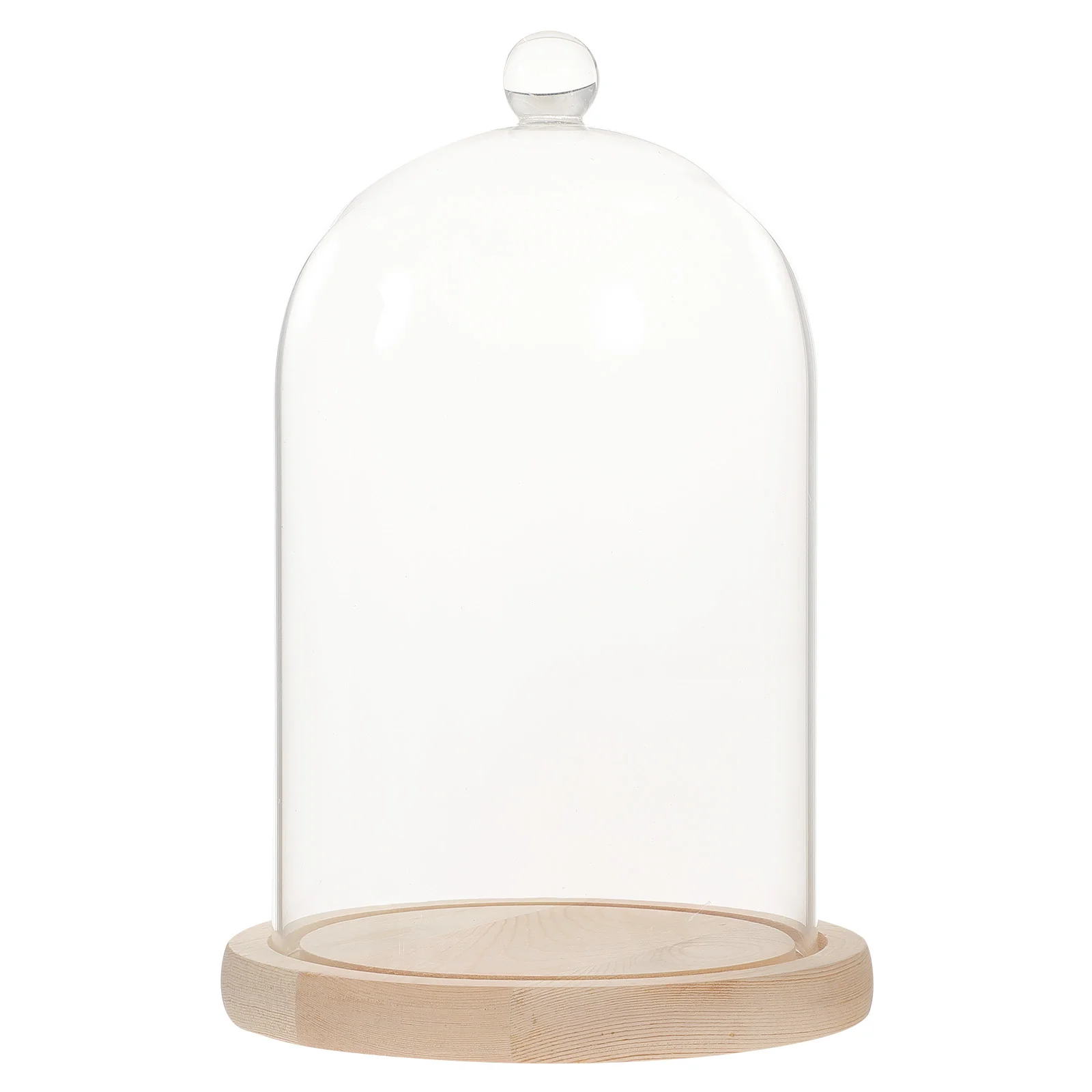 

Display Dome Cover Cloche Cake Flower Mini Terrariumbase Jar Casefood Plate Bell Preservedholder Planter Globe Protector Cheese