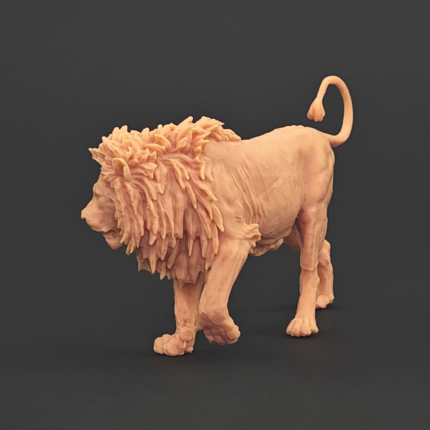 Фото 1/35 6,8-13 см Panthera leo Модель игрушки Древняя доисторическая модель животного Gk Настроить 3D-печать №4
