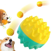 pet supplies training voice toothbrush grinding ball dog toys