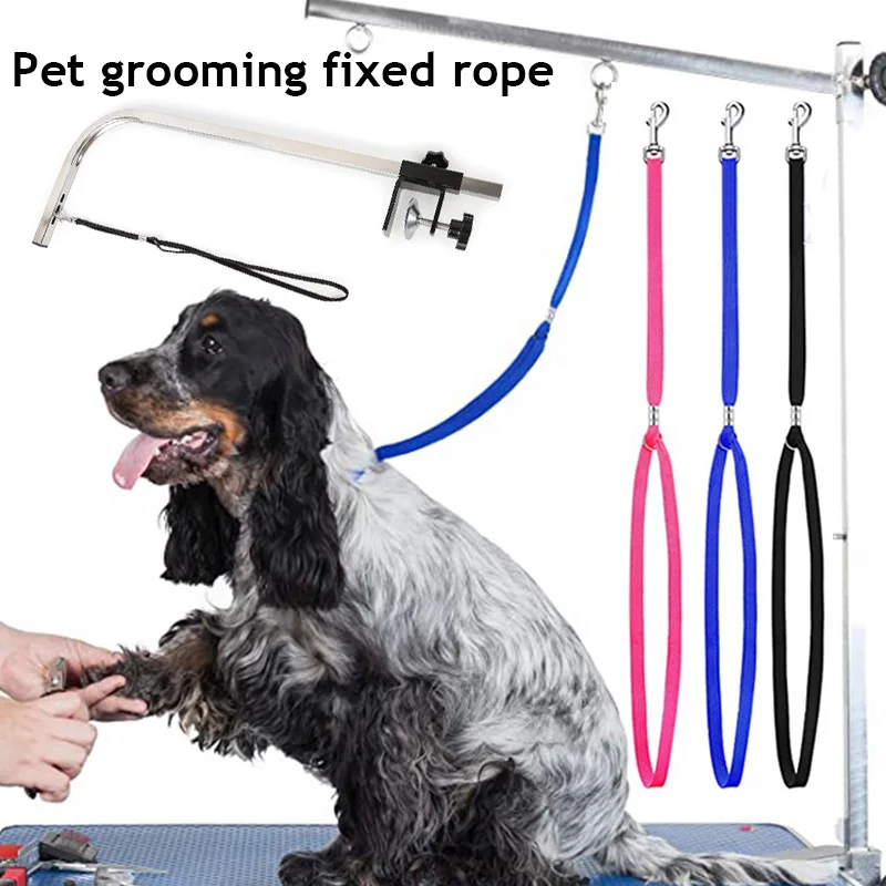 

Pet Dog Cat Grooming Loop Table Adjustable Pet Grooming Leash Table Loop D-rings Bathing Strap Traction Belt Dog Collar Harness