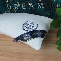 2022 hotel embroidered pillow