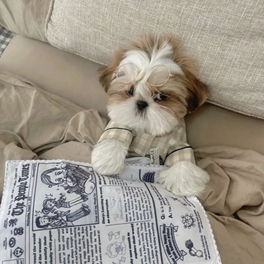 

Newspaper Dog Toys Funny Paper Rubbing Sound Chew Toys Small Medium Dog Bite Resistant Tissue Replacement Dog Clean Teeth Toys