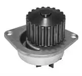 

Store code: 351110004300 for recirdaim water pump P106 P206 P206 P206 SAXO XSARA TU5JP (1) P106 8V) P106. 5d (20 DIS)