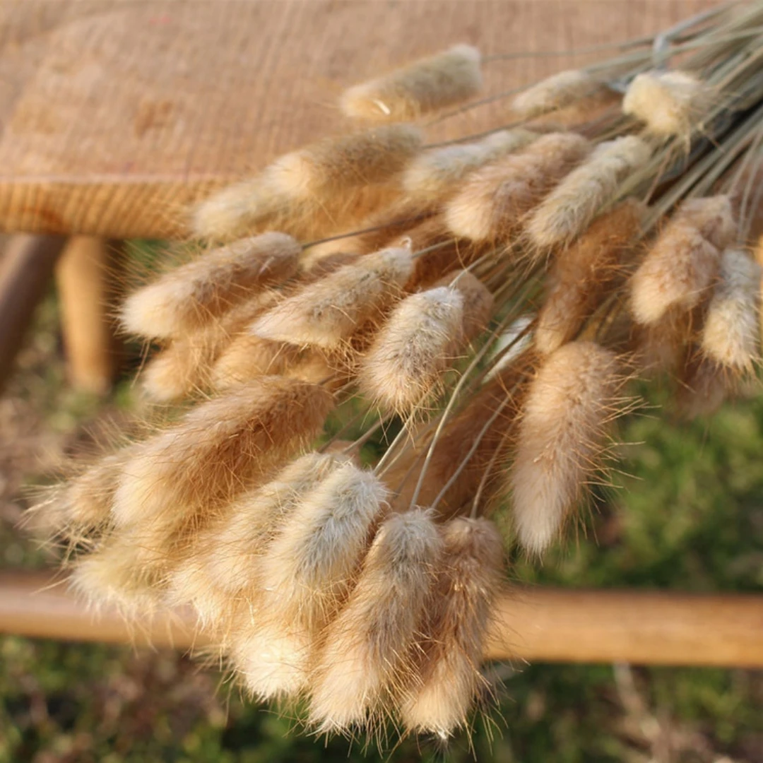 

Сухие цветы YN HI FLOWER ENJOY YOUR LIFE смешанные 60 стеблей