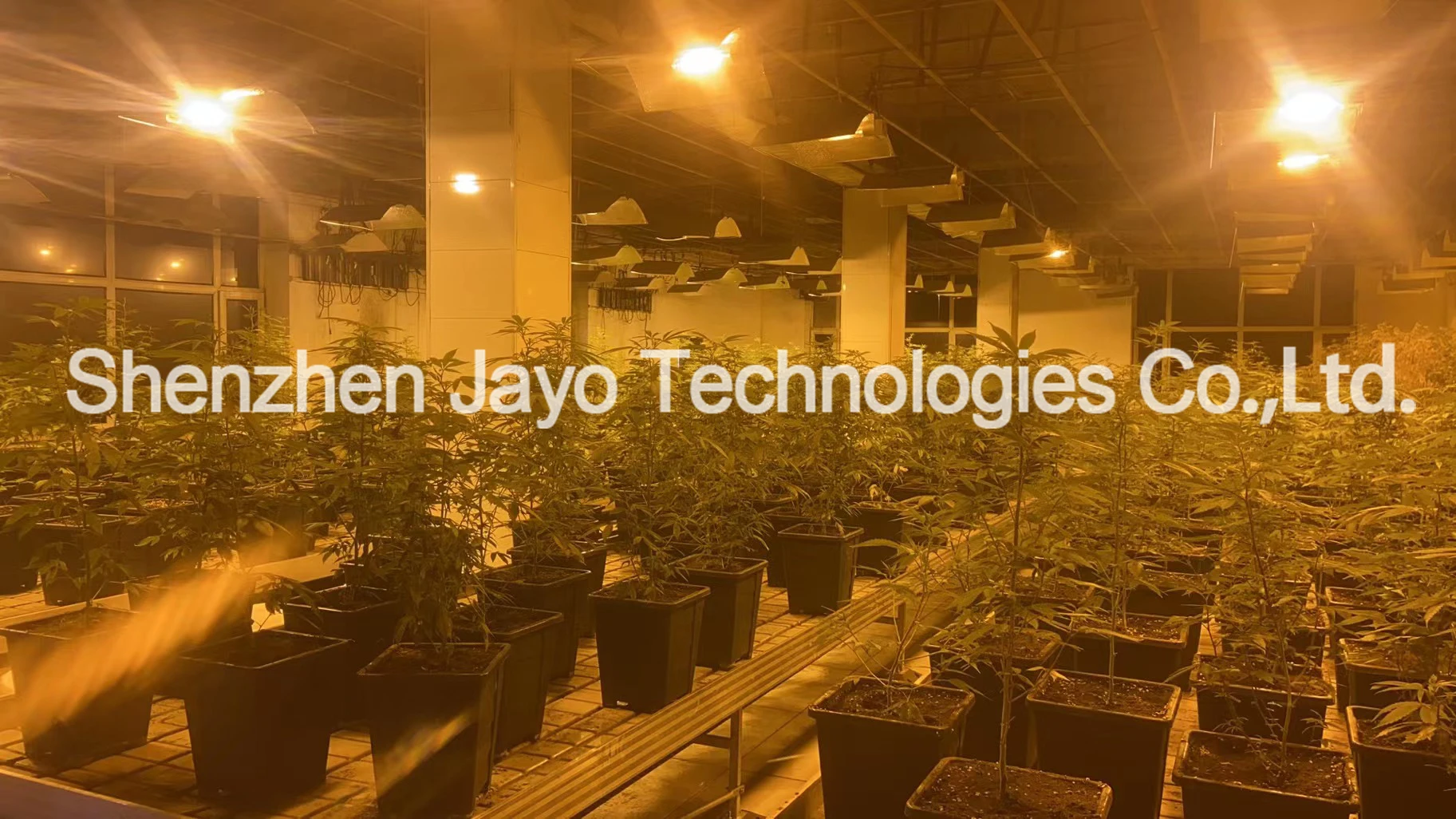 600W HPS Балласт выращивания света цифровой электронный регулируемый для ламп растений MH 250W 400W.