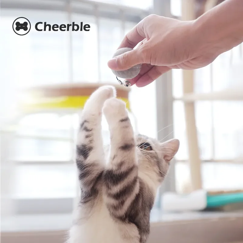 

Balle Cheerble intelligente automatique pour chat, jouet interactif, Rechargeable par USB, auto-rotatif coloré, cloches en plum