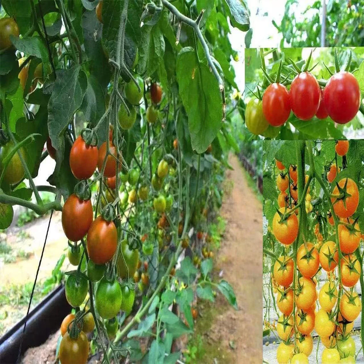 Зеленый сетчатый забор для защиты птиц пруд аквариум садовые ловушки растения