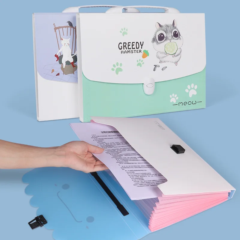 

Cartoon Pattern Organ Bag Student Portable Folder Opening Season Test Paper Information Multi-layer Organ Folder