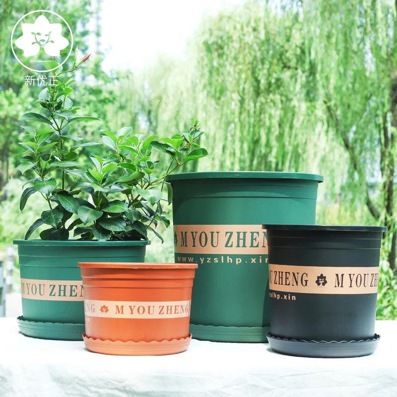 Gallon pot short and fat second generation breathable thickened large caliber special price multi meat green rose plant |
