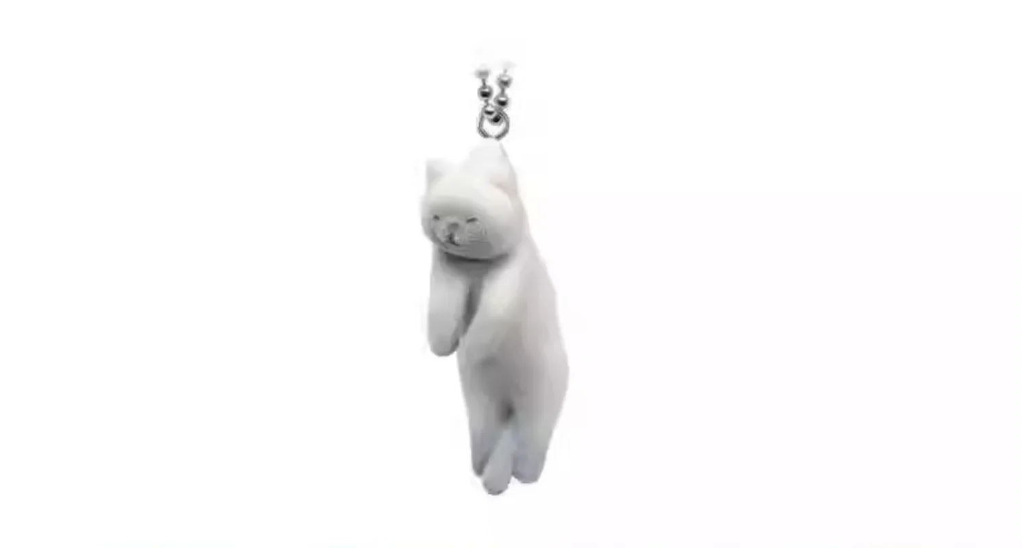 Buchi Roest Mascotte Schattige Exotische Korthaar Somali Tonkinese Pluizige Flocky Pinch