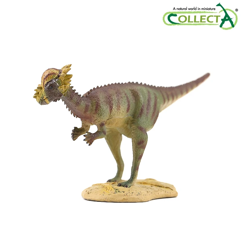 

Collecta Pachycephalosaurus Dinosaurs Prehistoric Animals Model Dino Toy Classic Toys for Boys Children 88629