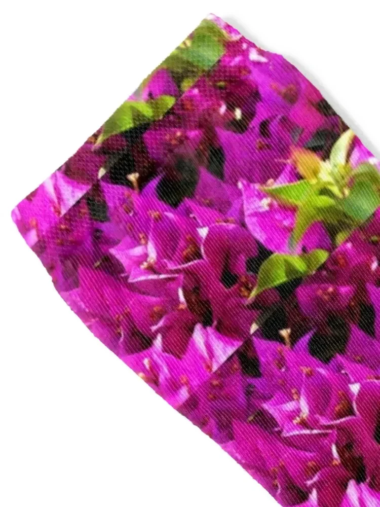Bougainvillea длинный цветок открывающийся до солнца Носки дизайнерского бренда идеи