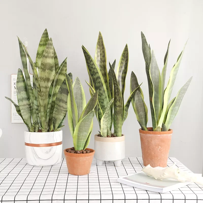 

Plants for Home Garden Decoration Plastic Sansevieria Branch Fake Plants DIY Bonsai