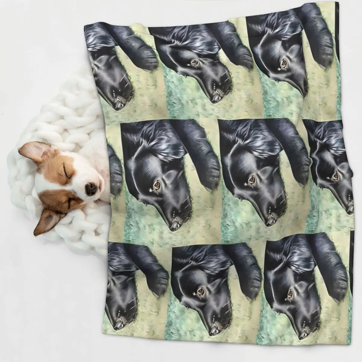 Теплое одеяло для домашних питомцев с плоским покрытием мягкое пушистое милое