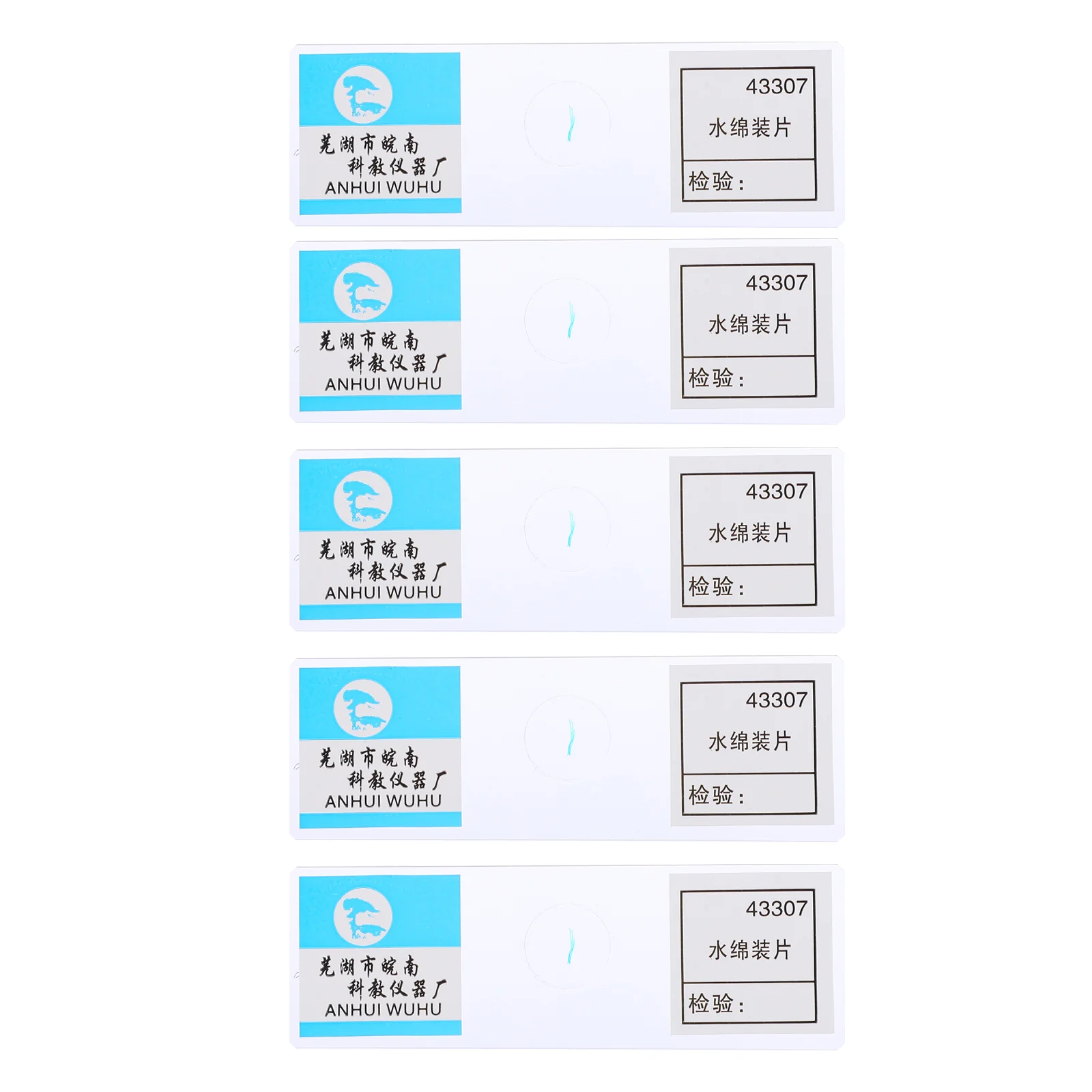 

5pcs Bioexperiment Slides Microscope Slides Spirogyra Communis Prepared Microscope Slides