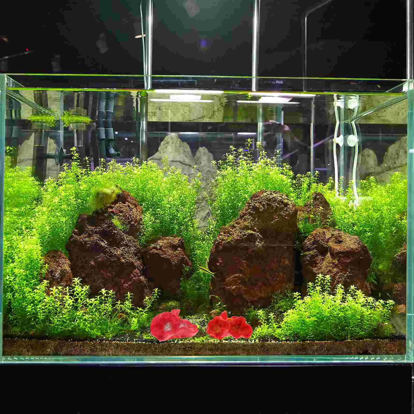 

Fish Aquariumtank Aquatic Decor Crafts Decorations Landscapefake Hideout Simulation Resin Shell Artificialcoral Floating