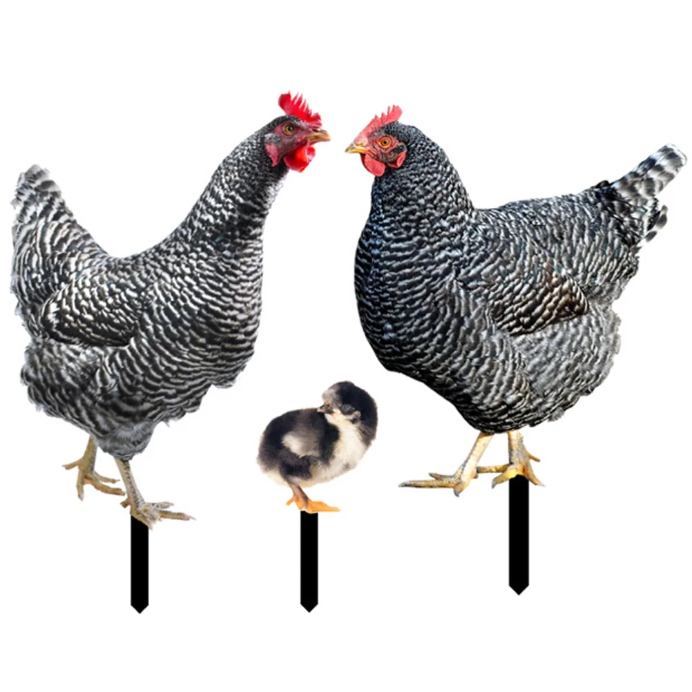 

Decor Yard Ornaments for Garden Statue Acrylic Chicken Stake Courtyard Insert Sign outside Decorations Outdoor