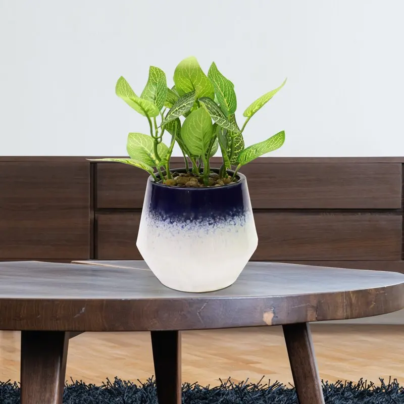 

Mark 8.7’’H Artificial Pinstripe Plant in Blue and White Shaped Ceramic Pot