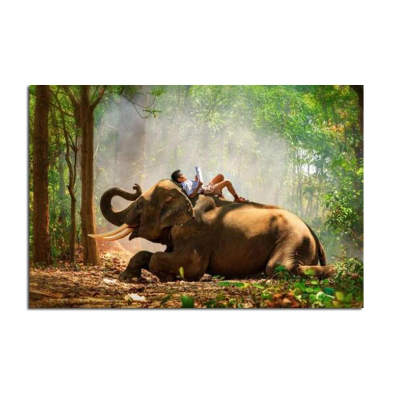 

Животное, искусство мальчика, чтение на фотообои, современное изображение для комнаты, домашний декор для стен