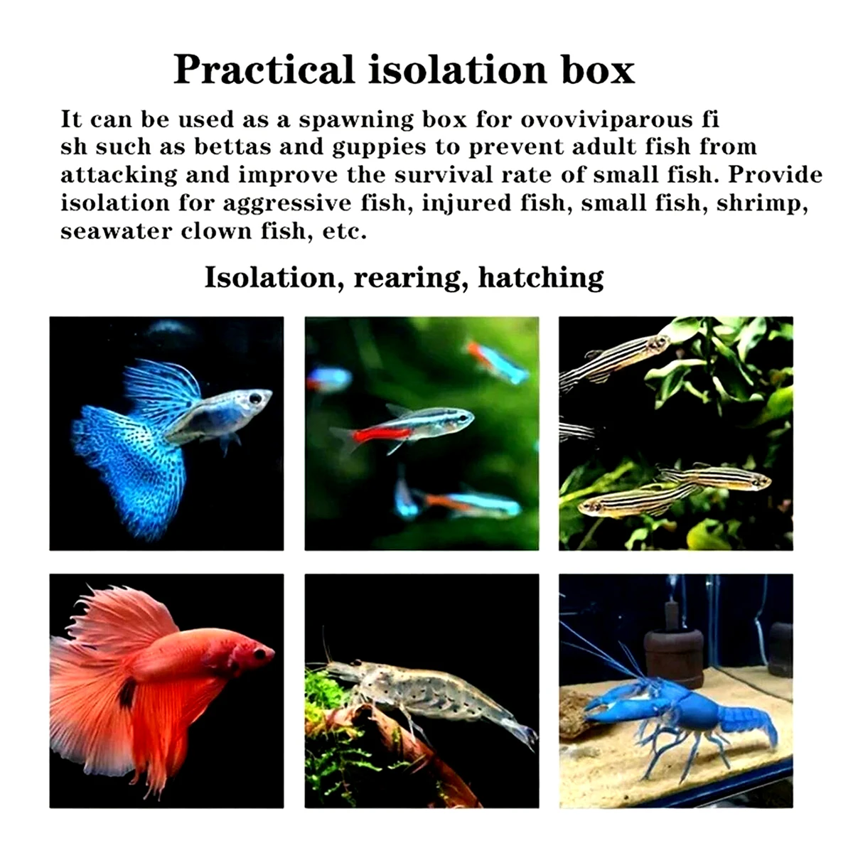 Многофункциональный Двухслойный Изолированный Ящик Для Разведения Рыб