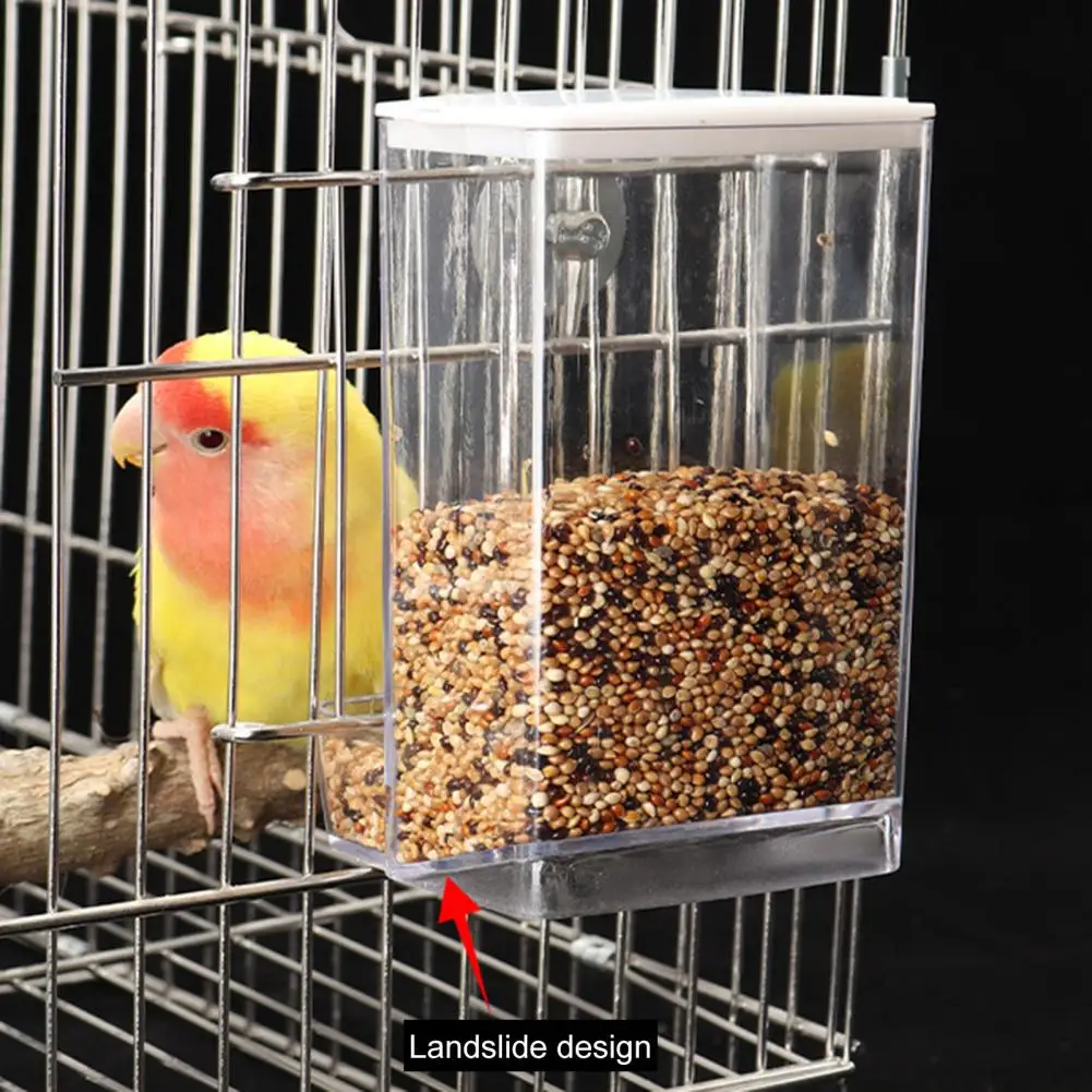 With Dustproof Lid Transparent Automatic Parrot Feeder Drink