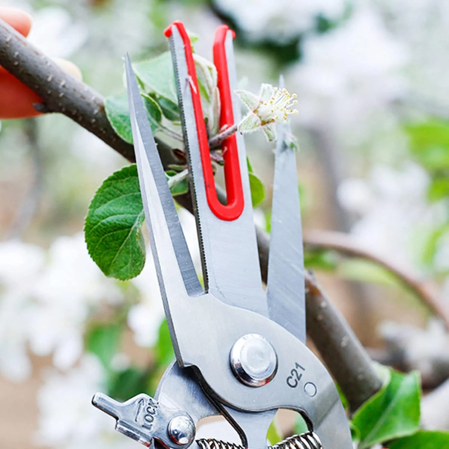 Carbon Steel Forging for Pear Tree Scissors Double Mouth Gardening Cutting Shears Pruning Tools Agricultu High-Carbon S