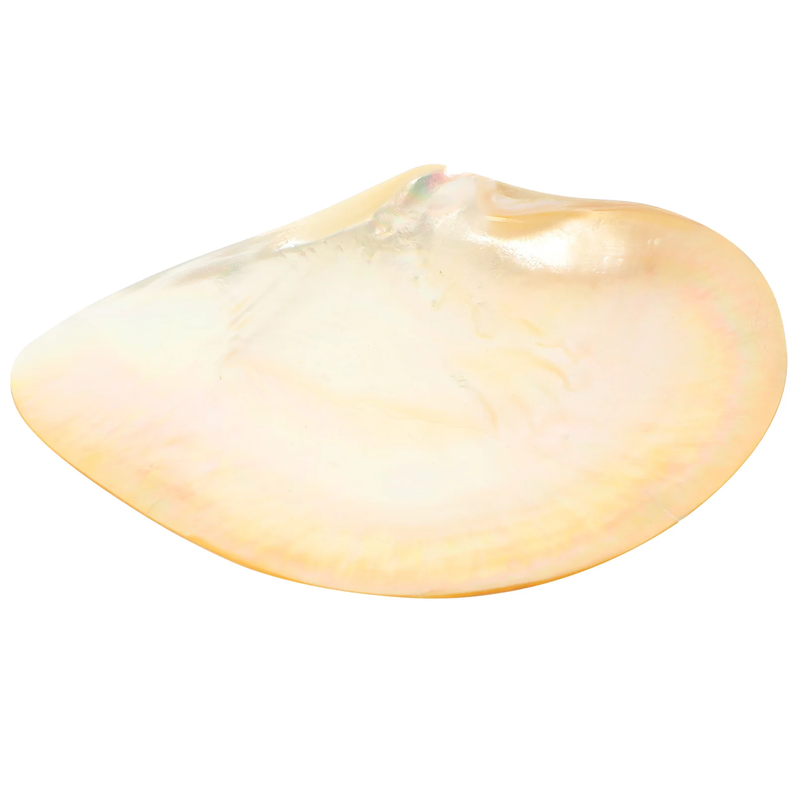 

Поднос для столовых приборов, декоративная чаша, сервировочное блюдо для икры, тарелка с морскими ракушками, Ювелирная тарелка, блюда с аппетитром, тарелка с ракушкой, тарелка с безделушкой