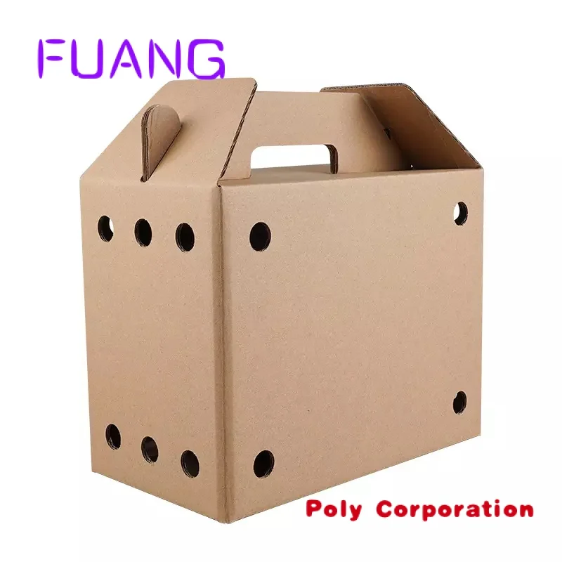 Eco-Friendly 100% Recycled Packaging Big Size Egg Box Fruit Carton with Handlepacking box for small business