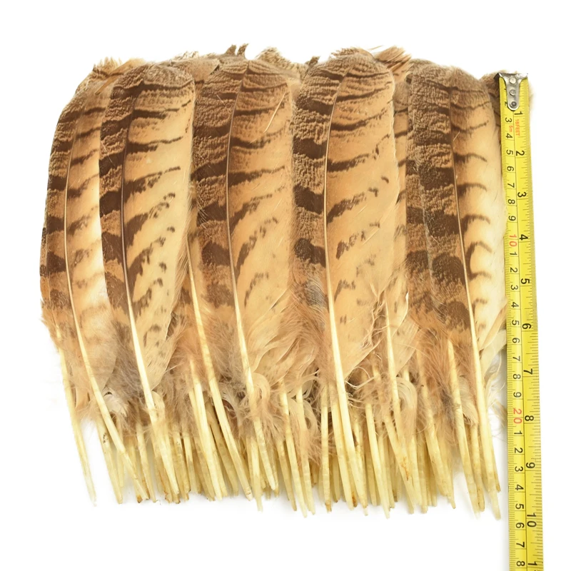 

10Pcs/Lot Rare Owl Feathers for Craft Eagle Feather Decor for Clothes Collect Bird Pheasant Birds Carnival Handicraft Decoration