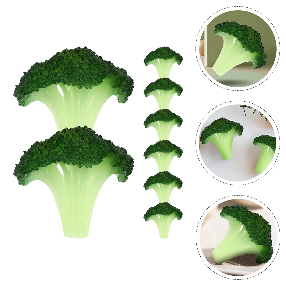 

8 Pcs Realistic Play Kitchen Accessories Simulated Broccoli Slice Model Fake Broccoli Slice Model for Home Decor Prop Display