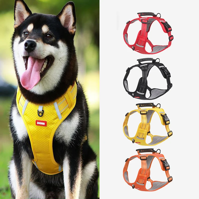 

Собачий корпус