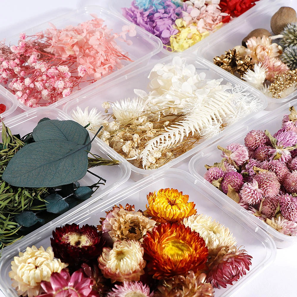 

1 Box Real Dry Flower Dried Natural Plants DIY Craft Embossing Materials Aromatherapy Accessories Making Home Decoration